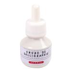 Herbin 11401T  Calligraphy Ink 50ml White