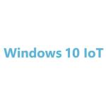 Microsoft Win 10 IoT Ent 2019 LTSC MultiLang ESD OEI  Value Edition for Core i3/i5 Devices