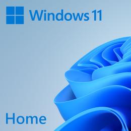 Microsoft Windows 11 Home 64bit OEM Eng Intl 1PK DSP OEI DVD for new system only