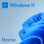 Microsoft Windows 11 Home 64bit OEM Eng Intl 1PK DSP OEI DVD