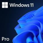 Microsoft Windows 11 Professional 64bit OEM Eng Intl 1PK DSP OEI DVD