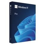 Microsoft Windows 11 Professional 64-bit English USB