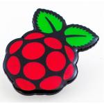 Raspberry Pi Official Merchandise SC0457 Pin Badge, 30mm Length