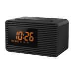 Panasonic RC-800 FM Clock Radio - Black - Large display, 10 station presets & dual alarm timer