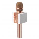 ToSing 008 Karaoke Microphone with Case (Rose Gold) Wireless Bluetooth , Louder Volume 10W Power, More Bass, 3-in-1 Portable Handheld Double Speaker Mic Machine for iPhone/Android/iPad/PC