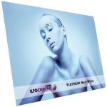 ILFORD 3000016 Ilfochrome Platinum Matte White A3 5 Sheets PSM.5M